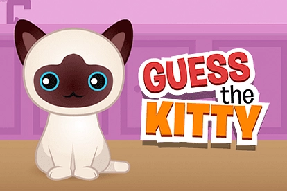 Guess The Kitty